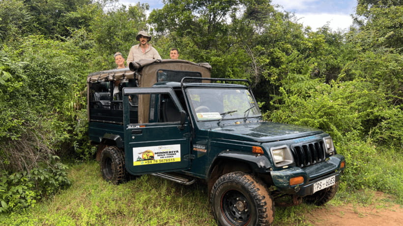 Sigiriya Rock Hike & Minneriya Elephant Safari – Day Tour - The Minneriya safari is the stronger half for wildlife