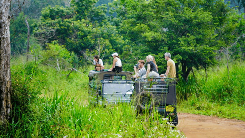 Sigiriya Rock Hike & Minneriya Elephant Safari – Day Tour - Why the Kaudulla stop appears on the schedule