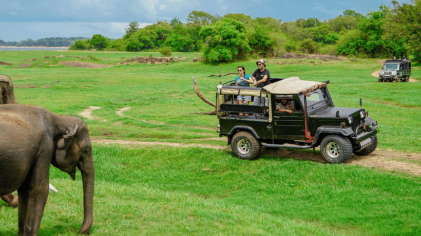 Sigiriya Rock Hike & Minneriya Elephant Safari – Day Tour - What the $57 price really covers