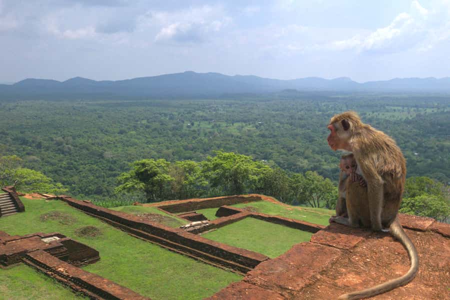 Sigiriya: Sigiriya or Pidurangala Sunrise/Sunset Hike - A possible extra stop, and why you should not count on it