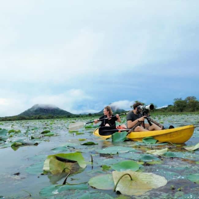 Sigiriya: Sunrise or Sunset Kayaking Tour - What the 1.5-hour paddle feels like
