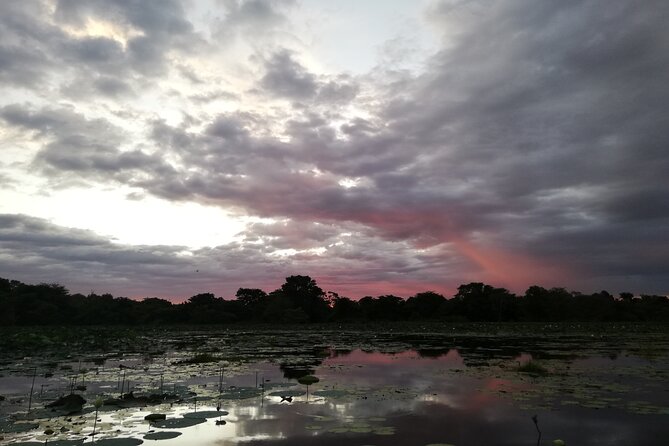 Sigiriya Sunrise/Sunset Guided Boat Ride - Watching water birds with binoculars and a guidebook