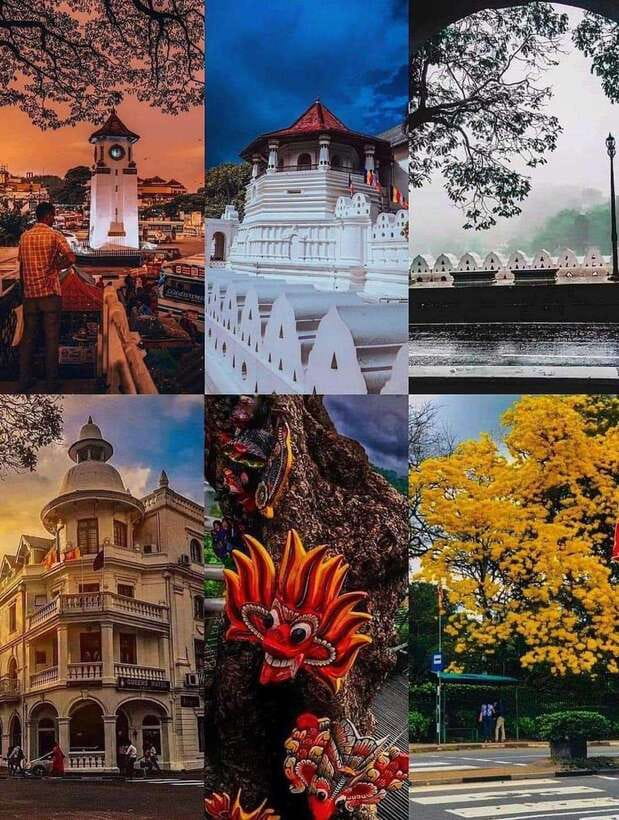 Sigiriya To Kandy Private Transfer: Visit Dambulla Temple - Key points to know before booking