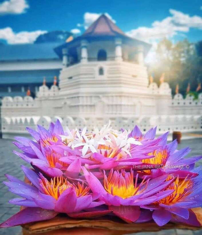 Sigiriya To Kandy Private Transfer: Visit Dambulla Temple - The herbal spice garden: a lighter stop with local flavor