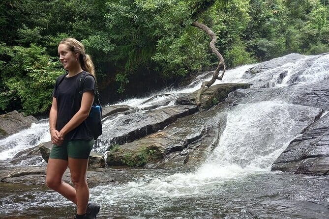 Sinharaja Rain Forest Day Tour from Mirissa, Galle, Bentota Area - Pickup from Mirissa, Galle, Bentota, and beyond