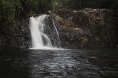 Sinharaja’ rainforest – Discovery Tour (half day)
