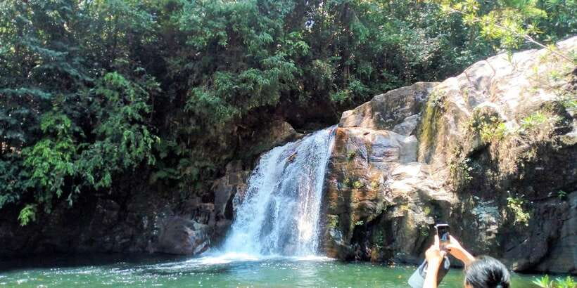 Sinharaja Rainforest Private & Customize Tour - Key Points Before You Book