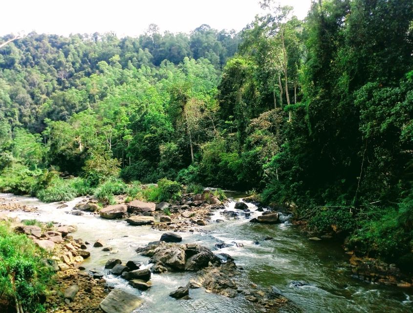 Sinharaja Rainforest Private & Customize Tour - Five Hours Among Trees, Birds, and Reptiles