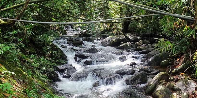 Sinharaja Rainforest Private & Customize Tour - Kakuna Waterfall and a Forest Lunch