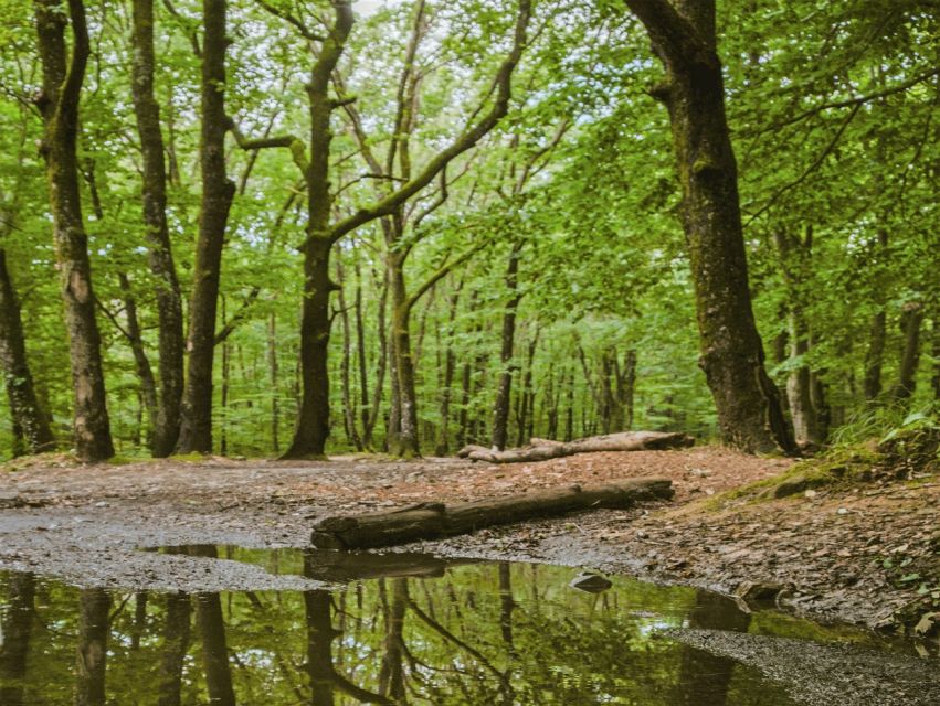 Sinharaja Rainforest Private & Customize Tour - Who Will Enjoy This Most