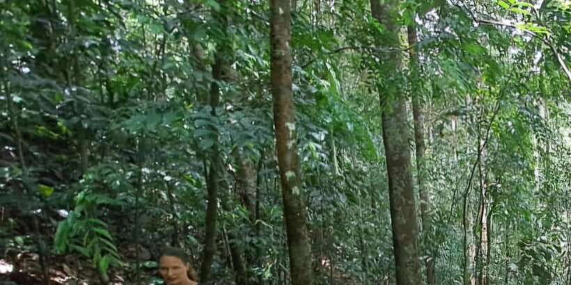 Sinharaja Rainforest Tour - Who will enjoy this rainforest excursion
