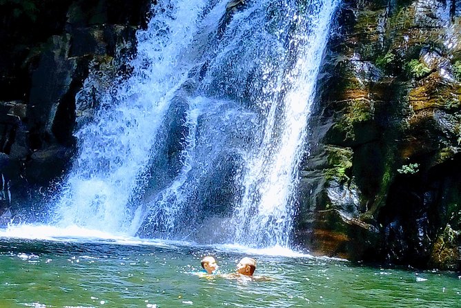 Sinharaja Rainforest Tour - Why Sinharaja is worth a full day