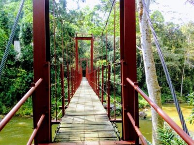 Sinharaja Rainforest Tour