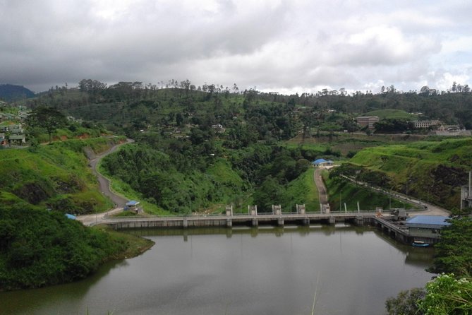 Sinharaja Rainforest Tour - The 3.5-hour forest walk beside the river