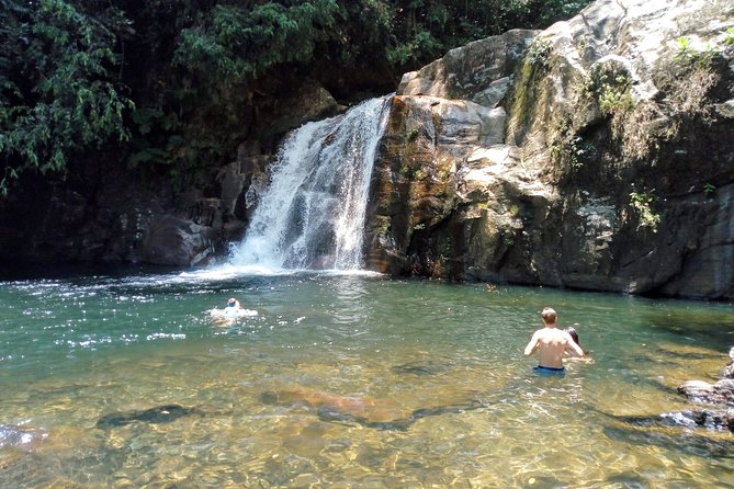Sinharaja Rainforest Tour - Finding snakes, frogs, and birds