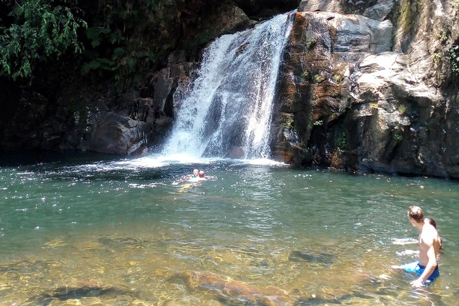 Sinharaja Rainforest Tour - Homemade lunch under the trees