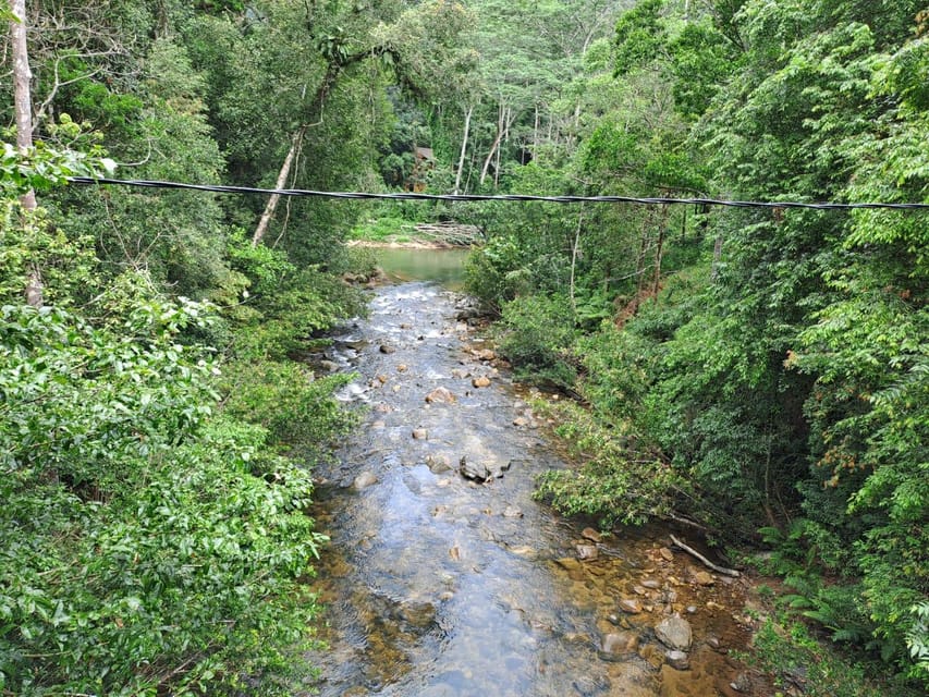 Sinharaja Rainforest Tour - What the $55 price really means