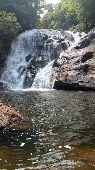 Sinharaja Rainforest: Tour with 5 Waterfalls Trek - Five useful things to know before booking
