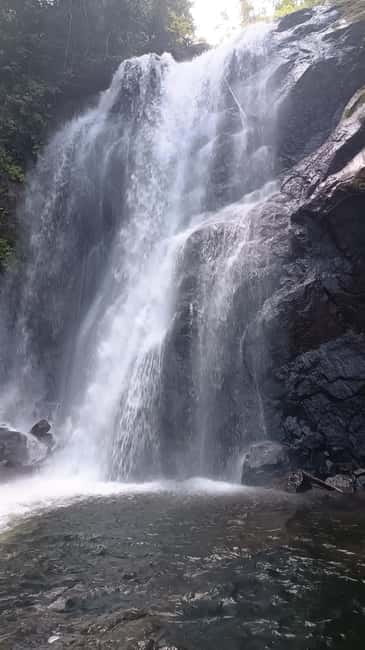 Sinharaja Rainforest: Tour with 5 Waterfalls Trek - Why this Sinharaja day is worth considering