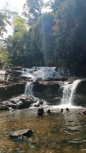 Sinharaja Rainforest: Tour with 5 Waterfalls Trek - What the three-hour forest walk feels like