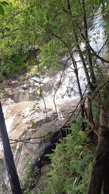 Sinharaja Rainforest: Tour with 5 Waterfalls Trek - What the $95 price covers