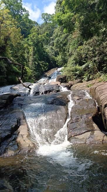 Sinharaja Rainforest: Tour with 5 Waterfalls Trek - Practical preparation for a better day
