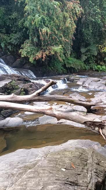 Sinharaja Rainforest: Tour with 5 Waterfalls Trek - The two-hour road journey from the coast