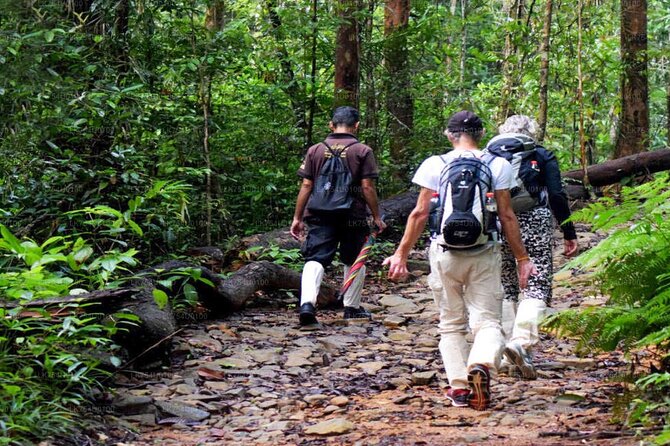 Sinharaja Rainforest Trekking Private Day Trip with Local Lunch - Three hours inside the Sinharaja reserve