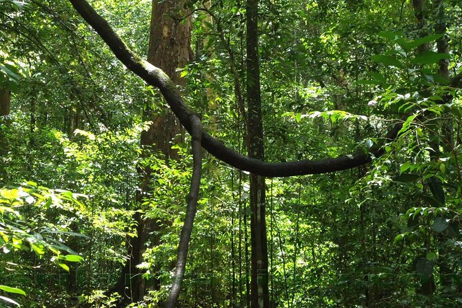 Sinharaja Rainforest Trekking Private Day Trip with Local Lunch - Who will enjoy this trip most