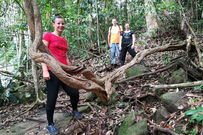 Sinharaja Rainforest Trekking Private Day Trip with Local Lunch - Timing, weather, and what to plan