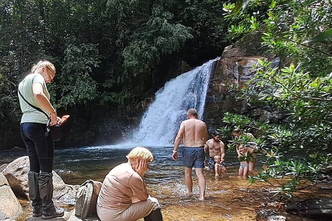 Sinharaja Rainforest Trip - Why Sinharaja Makes a Good Day Trip