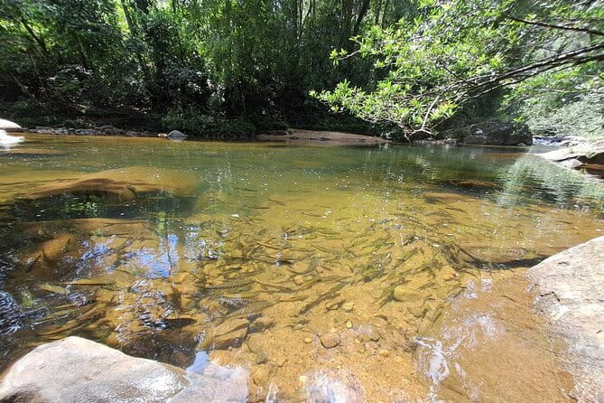 Sinharaja Rainforest Trip - The 8:00 am Pickup From the Southern Coast