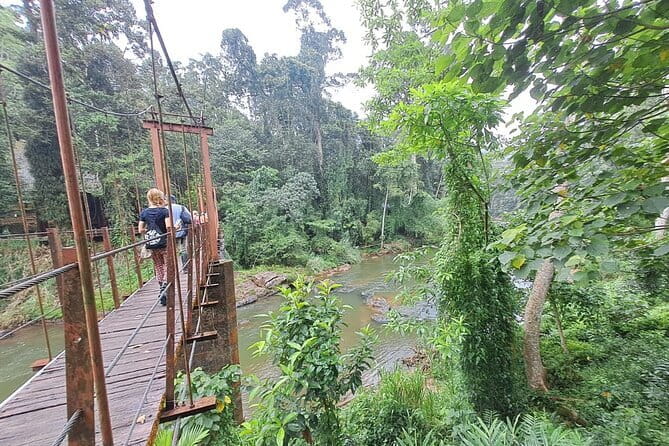Sinharaja Rainforest Trip - Three Hours Among Trees, Birds, and Reptiles