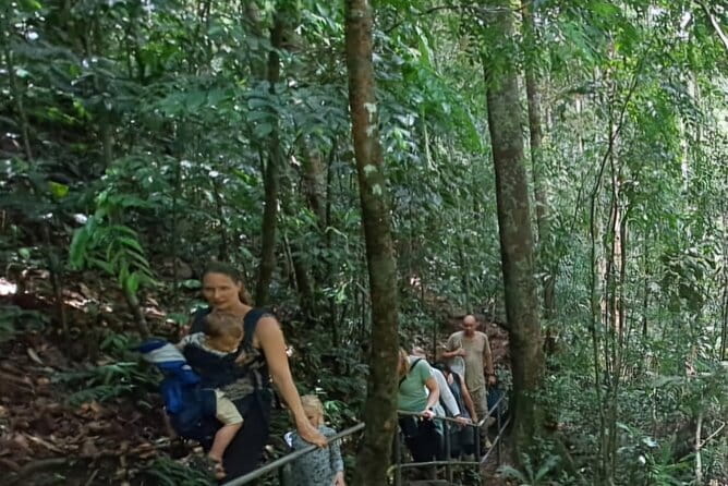 Sinharaja Rainforest Trip - Who Will Like This Sinharaja Experience