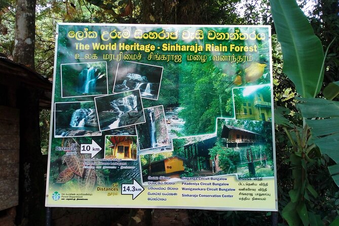 Sinharaja Rainforest & Udawalawe Safari - 2 Days, All Inclusive - What the private format changes