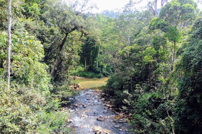 Sinharaja Rainforest & Udawalawe Safari - 2 Days, All Inclusive - Is $340 per person good value?