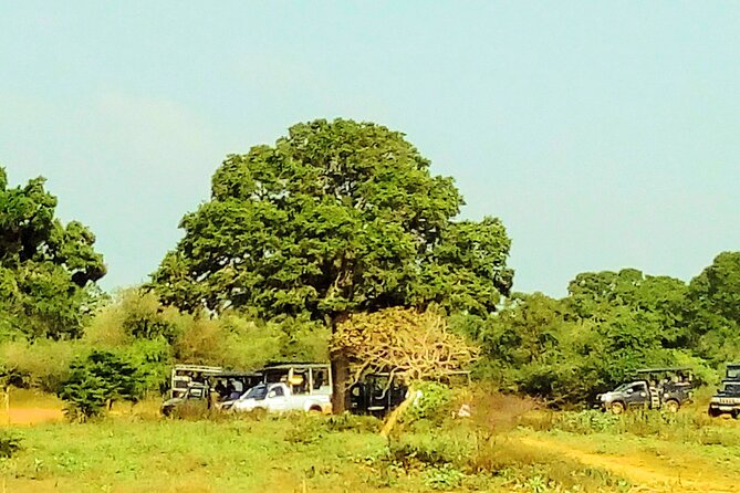 Sinharaja Rainforest & Udawalawe Safari - 2 Days, All Inclusive - A possible Galle Dutch Fort and Polhena detail