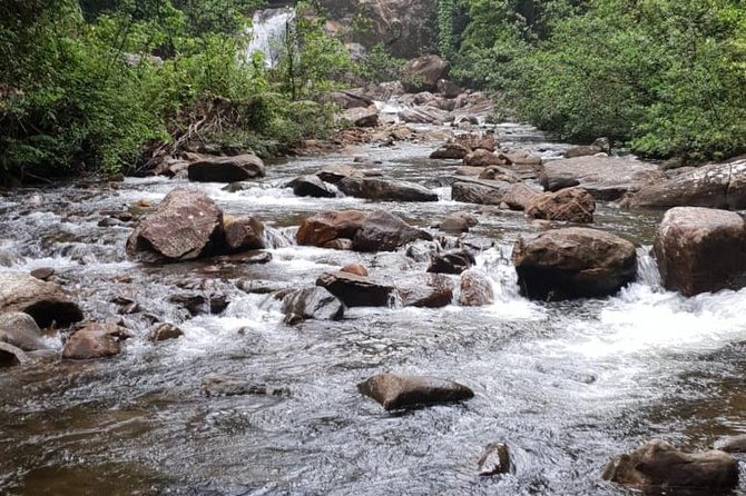 Sinharaja Short tour with 5 waterfalls tour or Adventure tour - Why Sinharaja is worth giving a full day