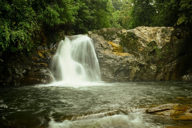 Sinharaja Short tour with 5 waterfalls tour or Adventure tour - What wildlife you might see