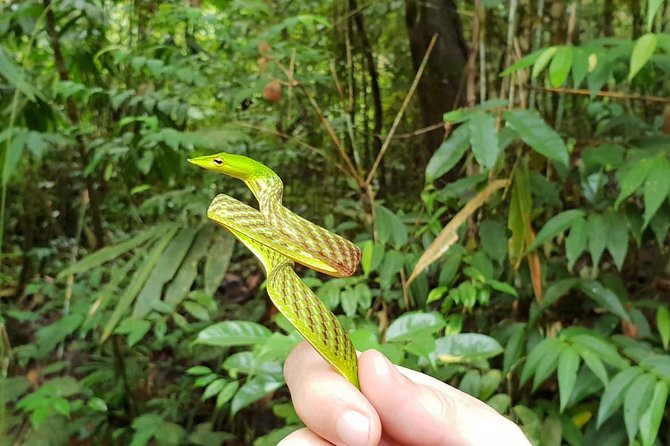 Sinharaja Short tour with 5 waterfalls tour or Adventure tour - Starting at the forest entrance