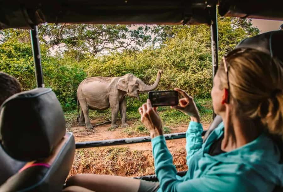 SKIP THE LINE - YALA SAFARI TOUR - Incl. ENTRY TICKETS - Pickup from four main Yala-area towns