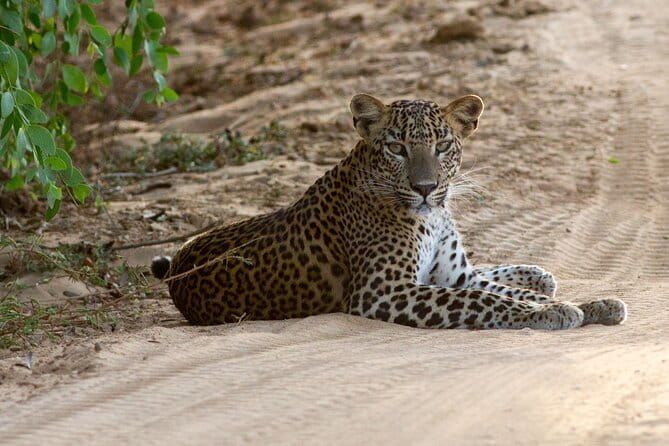 Small Group Hambantota City Tour - What the $55 price covers