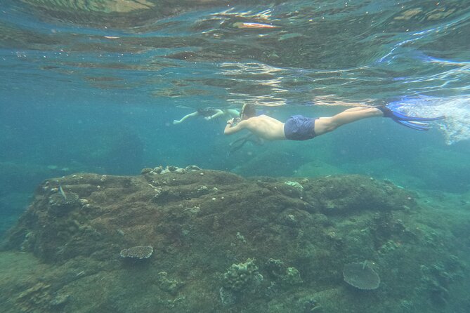 Snorkeling at Angel Rock - Key points before you book