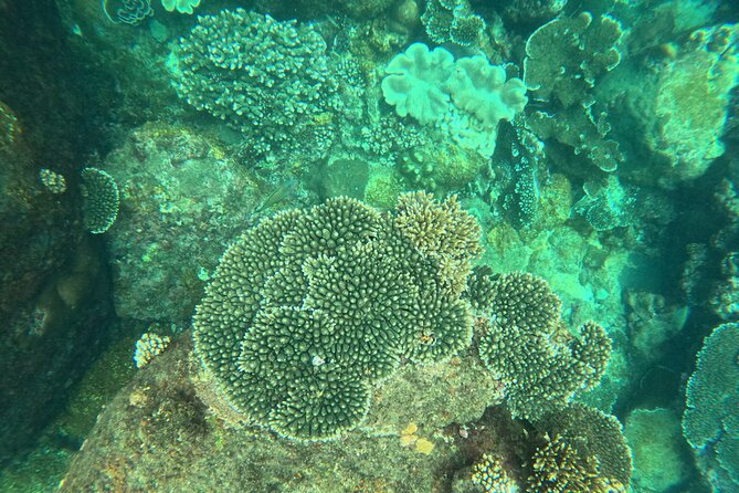 Snorkeling at Angel Rock - Is $20 good value?