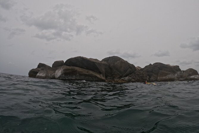 Snorkeling at Angel Rock - Choosing morning or afternoon