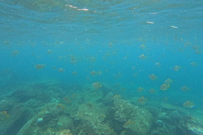 Snorkeling at Angel Rock - The short boat ride to Angel Rock