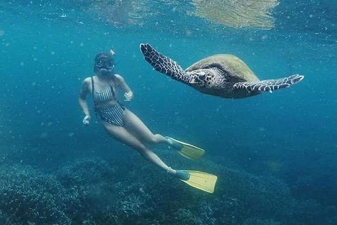 Snorkeling at Pigeon Island - A short ride to Pigeon Island National Park