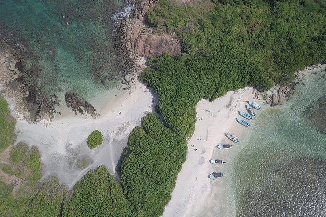 Snorkeling at Pigeon Island - Who should book this Pigeon Island trip?