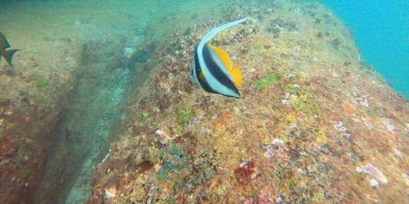 Snorkeling in Hikkaduwa - What the one-hour schedule means for you
