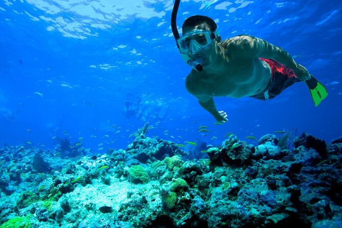 Snorkeling in Trincomalee - The best time and what to plan for